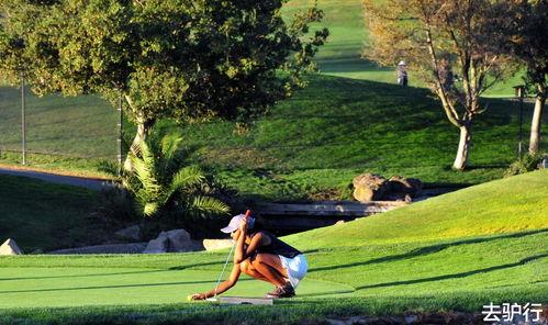 娱乐吃瓜酱50万