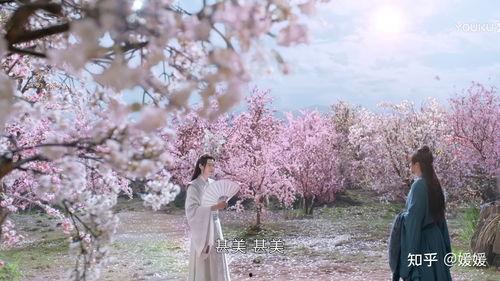 娱乐吃瓜君山河令,古装武侠剧中的甜蜜与热血交织